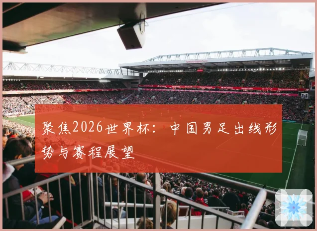 聚焦2026世界杯：中国男足出线形势与赛程展望
