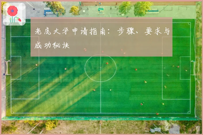 老虎大学申请指南：步骤、要求与成功秘诀