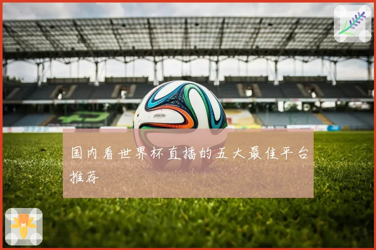 国内看世界杯直播的五大最佳平台推荐