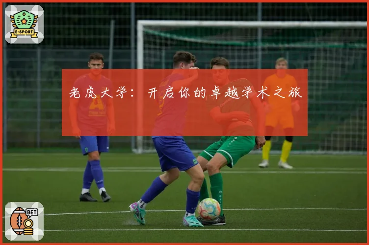 老虎大学：开启你的卓越学术之旅