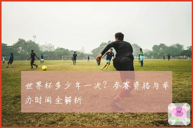 世界杯多少年一次？参赛资格与举办时间全解析
