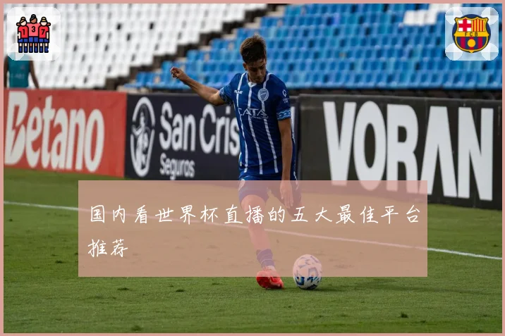 国内看世界杯直播的五大最佳平台推荐