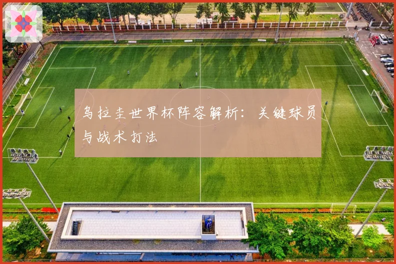 乌拉圭世界杯阵容解析：关键球员与战术打法