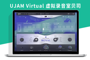 UJAM Virtual Bassist ROYAL WIN 虚拟录音室贝司