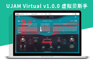 [虚拟贝斯手音源插件-响亮摇滚贝斯]UJAM Virtual Bassist ROWDY v1.0.0 [WiN-MAC]