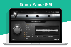 Impact Soundworks VENTUS Ethnic Winds Tin Whistle Kontakt 锡笛
