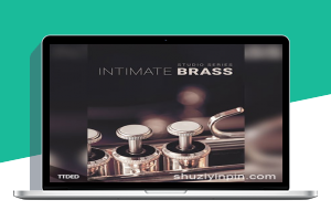 [铜管音源]8Dio Intimate Studio Brass [KONTAKT]（10.90Gb）