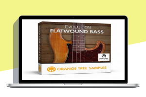 经典P型电贝司音源 Orange Tree Samples Evolution Flatwound Bass