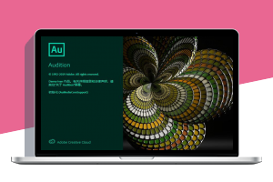 Adobe Audition 2020 v13.0.9.41