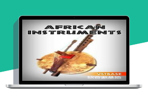 T.D Samples African Instruments KONTAKT 音色下载
