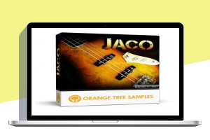 Orange Tree Samples Iconic Bass Jaco kontakt 流行摇滚贝斯音源