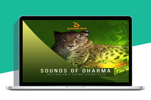 [Bass & House风格采样包]Sounds of Dharma Neverglow Avena Sound Pack [WAV]（8MB）