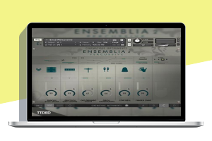 影视综合打击乐音源-Cinematique Instruments Ensemblia 2 Percussive KONTAKT–1.08Gb
