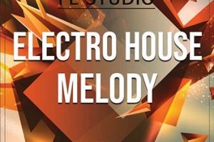 电气浩室电子舞曲素材Sylenth1预置Spire预置FL工程-WA Production Electro House Melody WAV, MiDi–198Mb