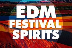 电子舞曲浩室素材Sylenth1预置Serum预置Spire预置FL工程模板-Big EDM EDM Festival Spirits WAV, MiDi–1.19Gb