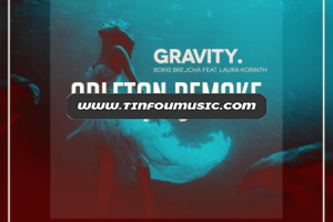 Top Music Arts Boris Brejcha feat. Laura Korinth Gravity Ableton Remake (Progressive House Template) MIDI + SERUM PRESETS [MiDi, Synth Presets, DAW Templates]