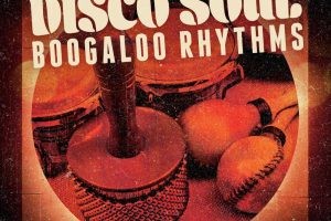 Organic Loops Disco Soul and Boogaloo Rhythms WAV REX-FANTASTiC