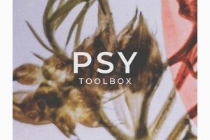 Zenhiser Psy Toolbox WAV-FANTASTiC
