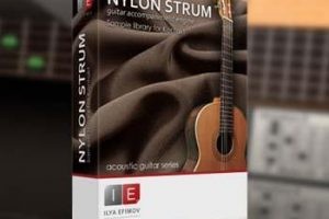 尼龙吉他扫弦音源-Ilya Efimov Nylon Strum KONTAKT-（1.82Gb）