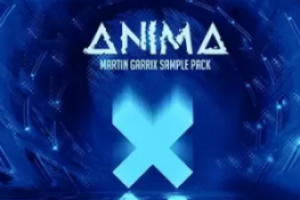 EDM电子舞曲采样Sylenth1预置Serum预置FL工程-Amanchauhanmusic Anima Martin Garrix（412Mb）
