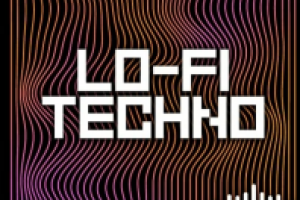 Roland Cloud Lo-Fi Techno by Nadian Miller WAV MiDi-DEUCES
