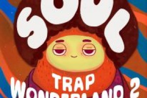 Dropgun Samples Soul Trap Wonderland 2 WAV XFER RECORDS SERUM-FANTASTiC